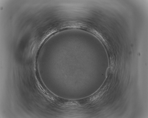 X0000087410386200704201406