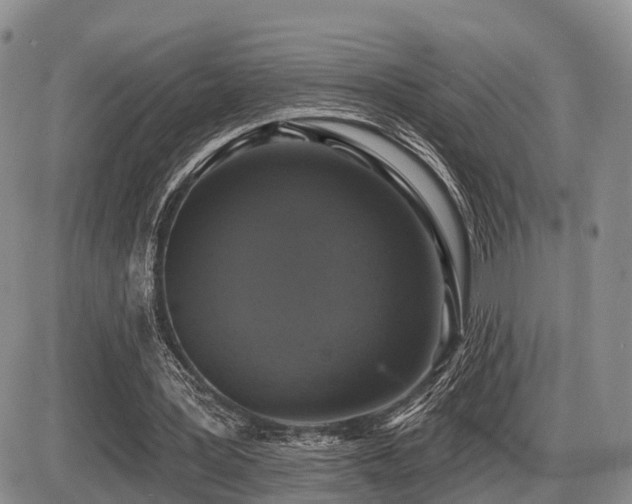 X0000087410387200704201406