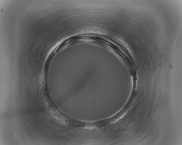X0000087410388200704201406