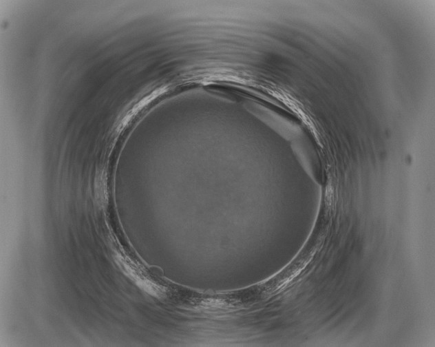 X0000087410390200704201406