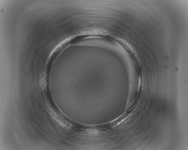 X0000087410392200704201406