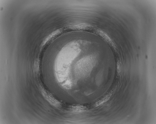 X0000087410396200704201406