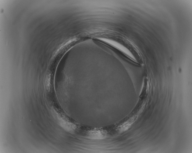 X0000087410404200704201406