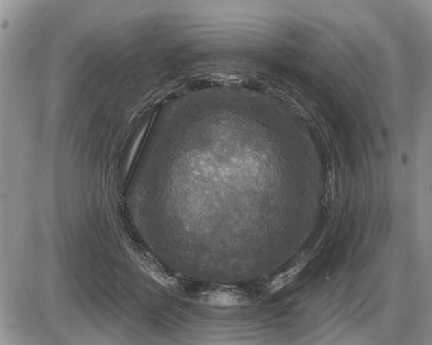 X0000087410412200704201406