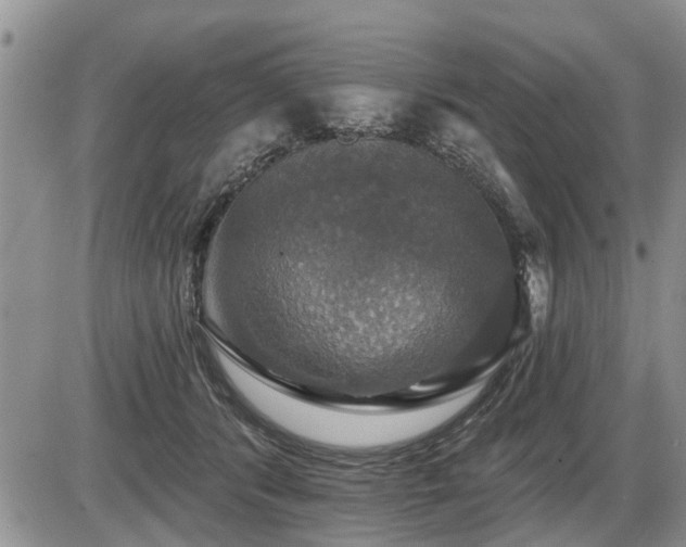 X0000087410416200704201406