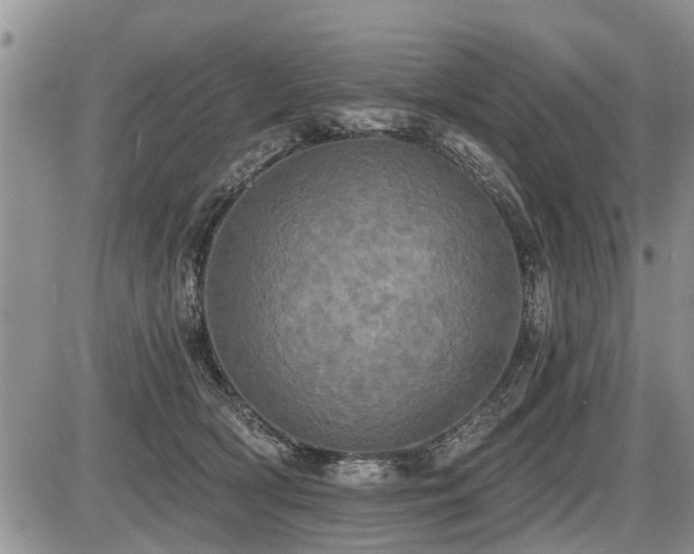 X0000087410418200704201406