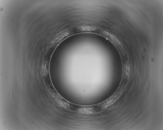 X0000087410422200704201406