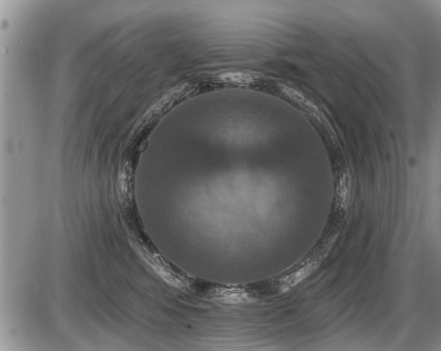 X0000087410424200704201406