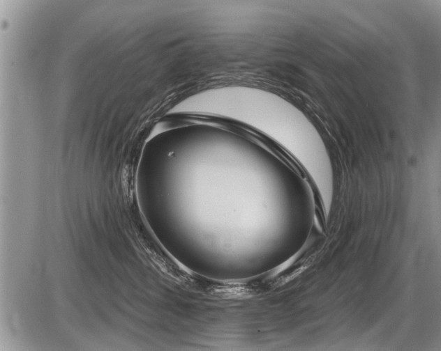 X0000087410428200704201405