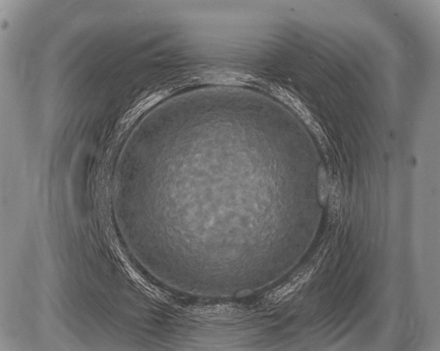 X0000087410433200704201405