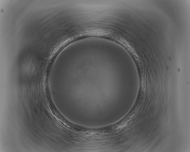 X0000087410434200704201405