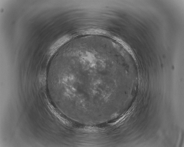 X0000087410437200704201405