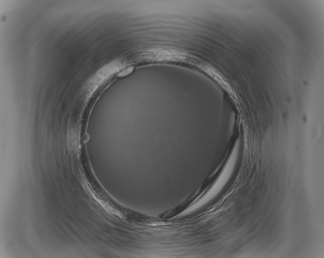 X0000087410438200704201405