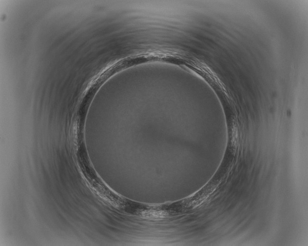 X0000087410444200704201405