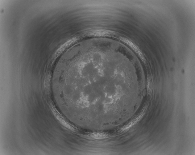 X0000087410445200704201405