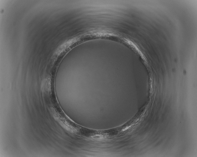 X0000087410447200704201405