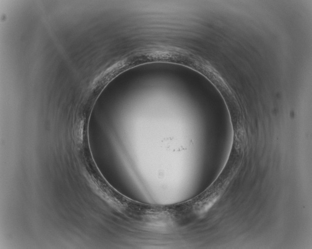X0000087410454200704201405