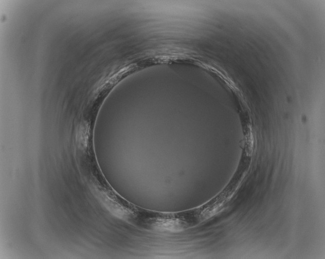X0000087410458200704201405