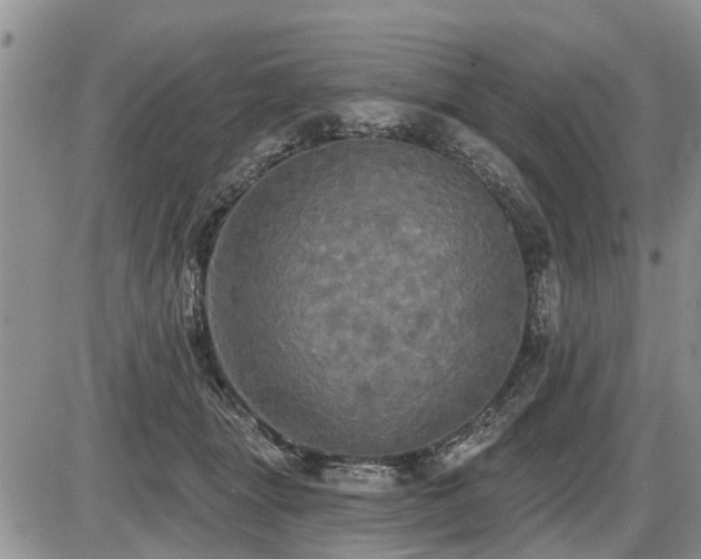 X0000087410463200704201405