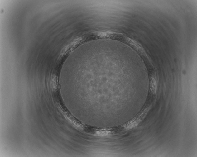 X0000087410470200704201405
