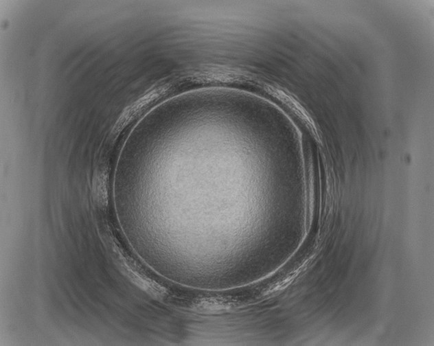 X0000087410489200704201404