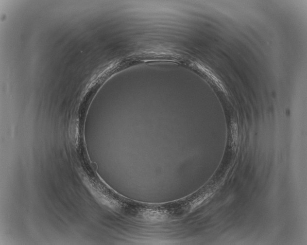 X0000087410494200704201404