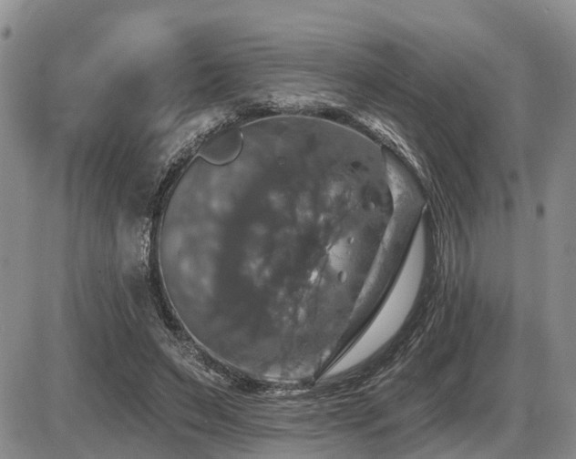 X0000087410495200704201404