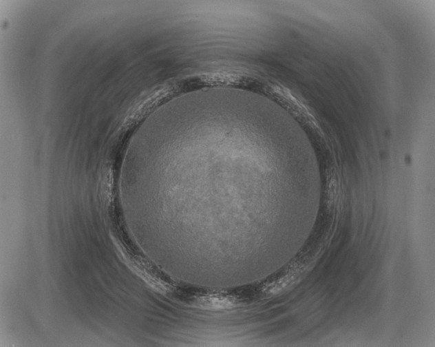 X0000087410498200704201404