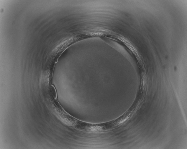 X0000087410501200704201404