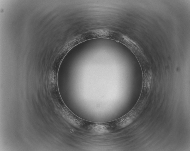 X0000087410518200704201404