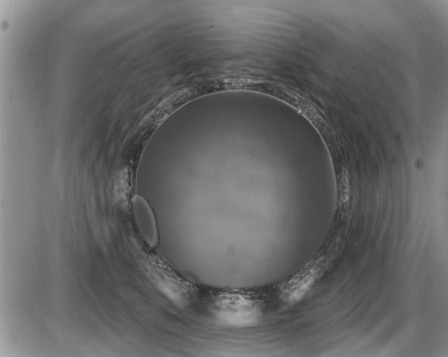 X0000087410519200704201404