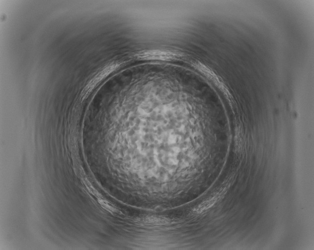X0000087410529200704201403