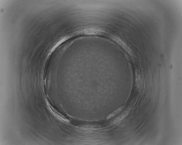 X0000087410530200704201403