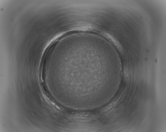 X0000087410532200704201403