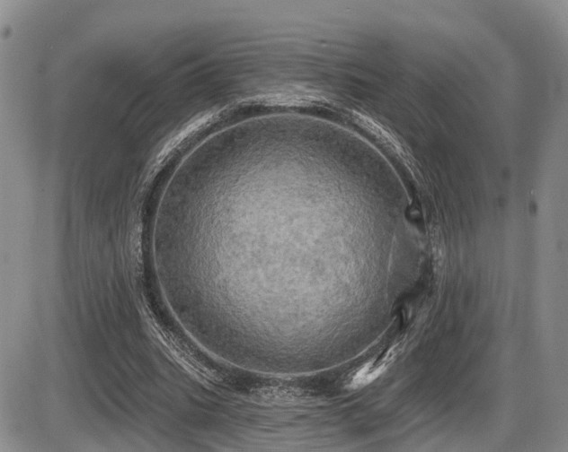 X0000087410535200704201403