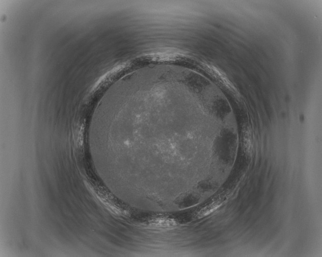 X0000087410543200704201403