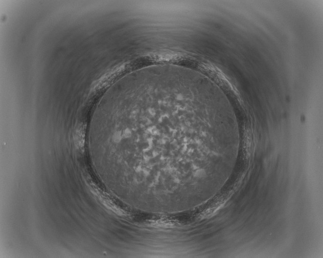 X0000087410545200704201403