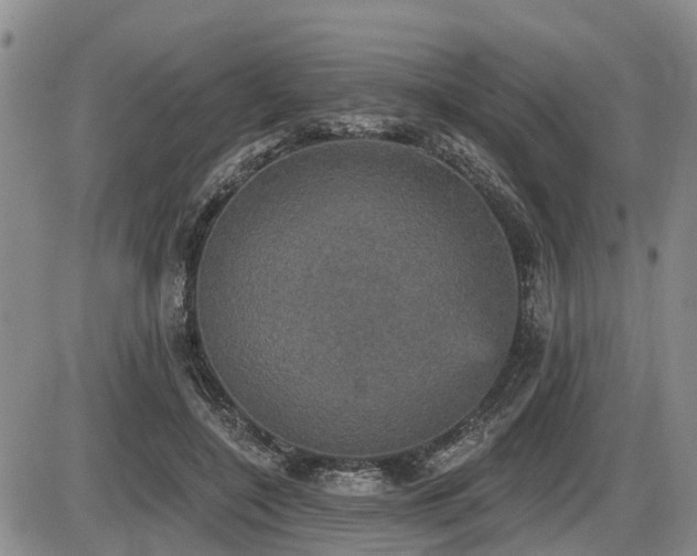 X0000087410548200704201403