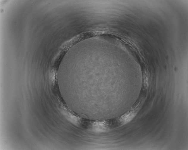 X0000087410574200704201404