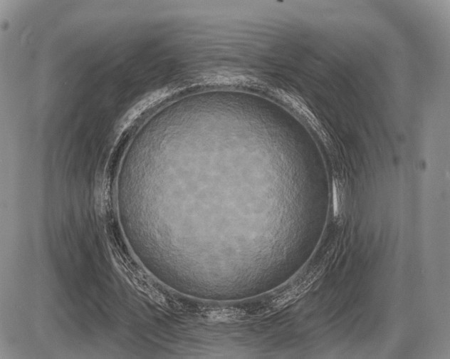 X0000087410579200704201403