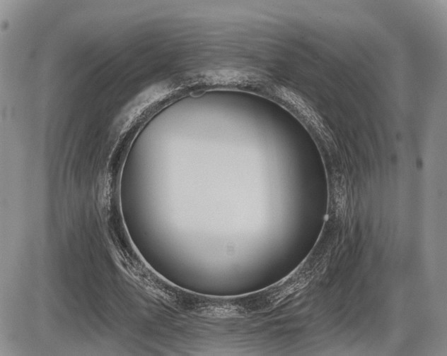 X0000087410583200704201403