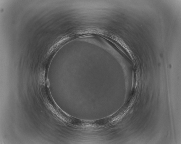 X0000087410585200704201403