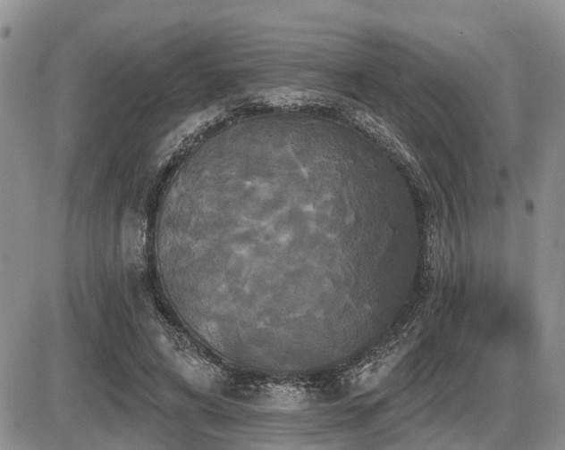 X0000087410592200704201403
