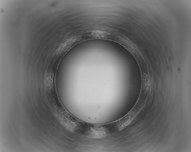 X0000087410603200704201403