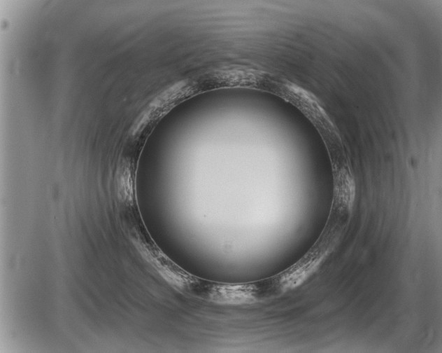X0000087410622200704201402