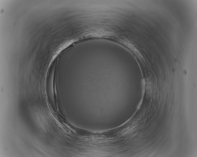 X0000087410626200704201401