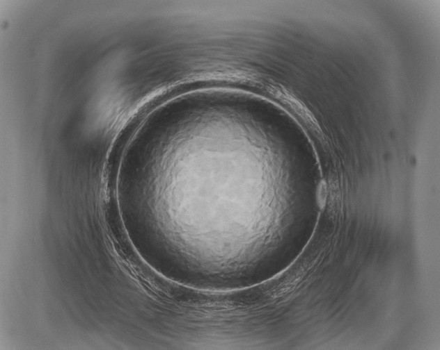 X0000087410628200704201402