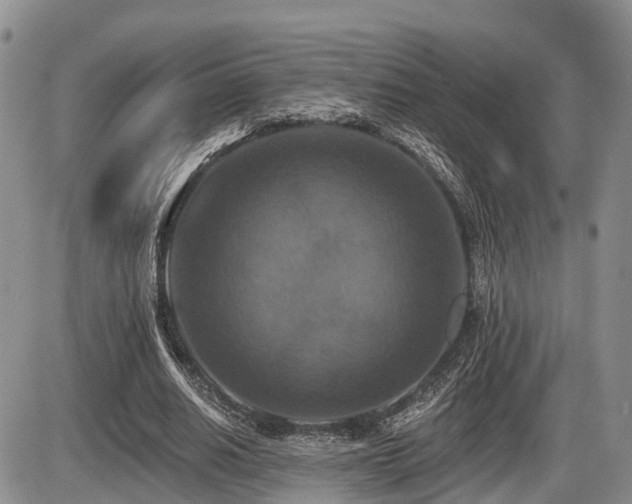 X0000087410630200704201402