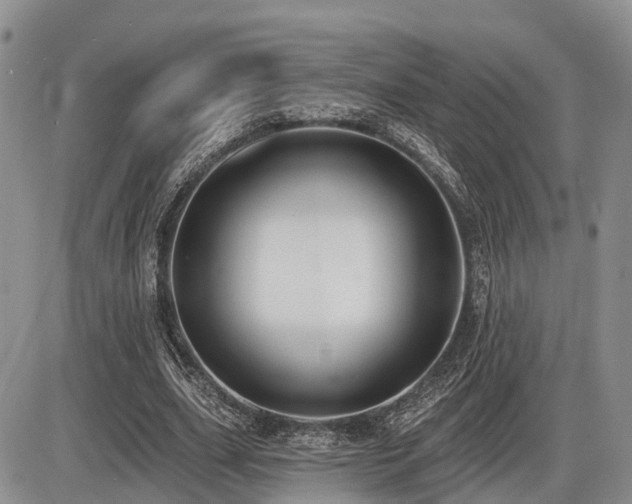 X0000087410631200704201402