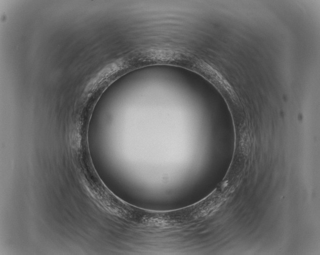 X0000087410635200704201402